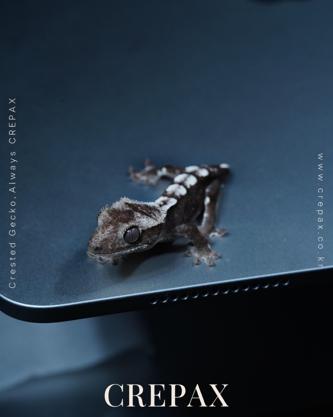 N260407 사진 3