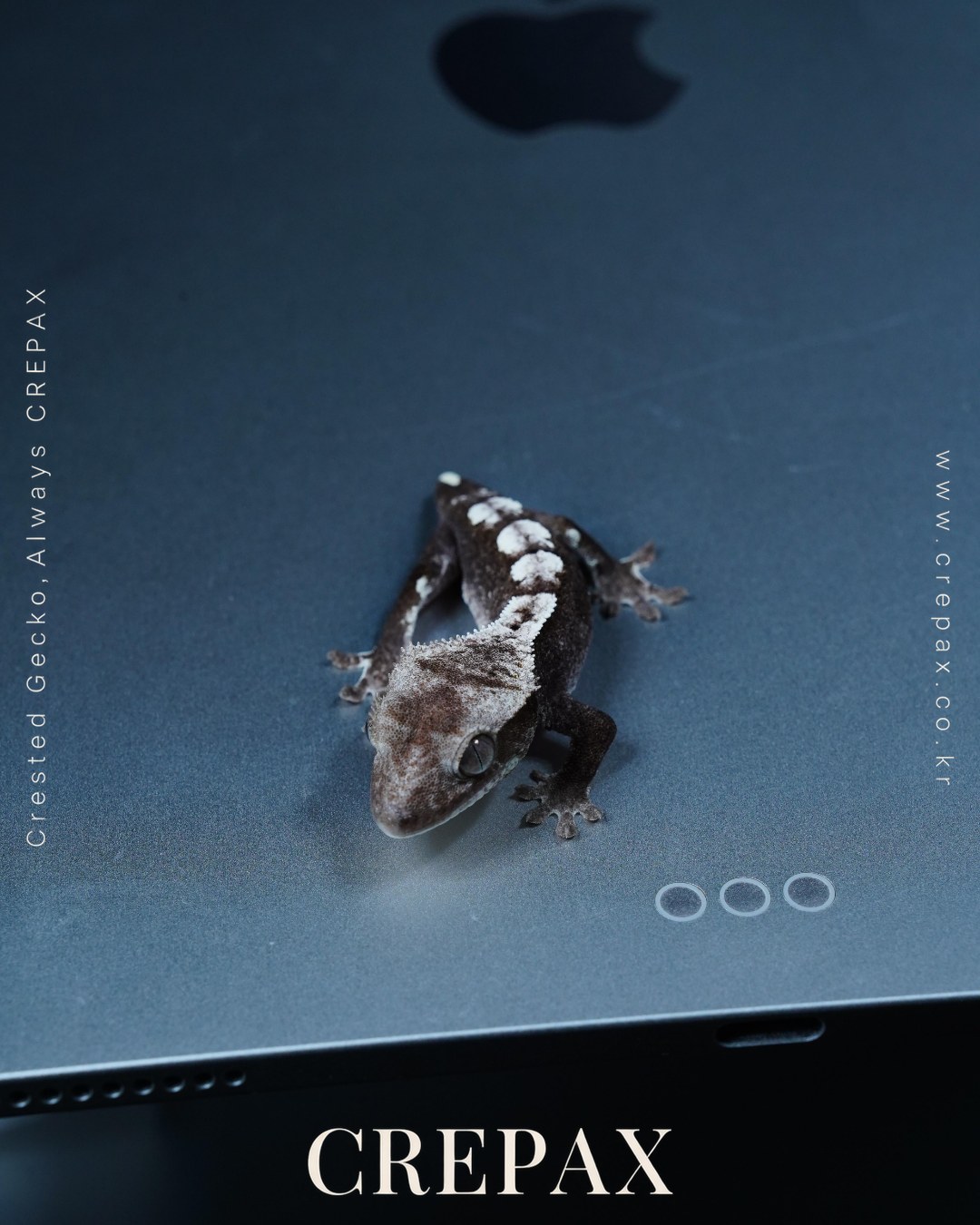 N260407 사진 4